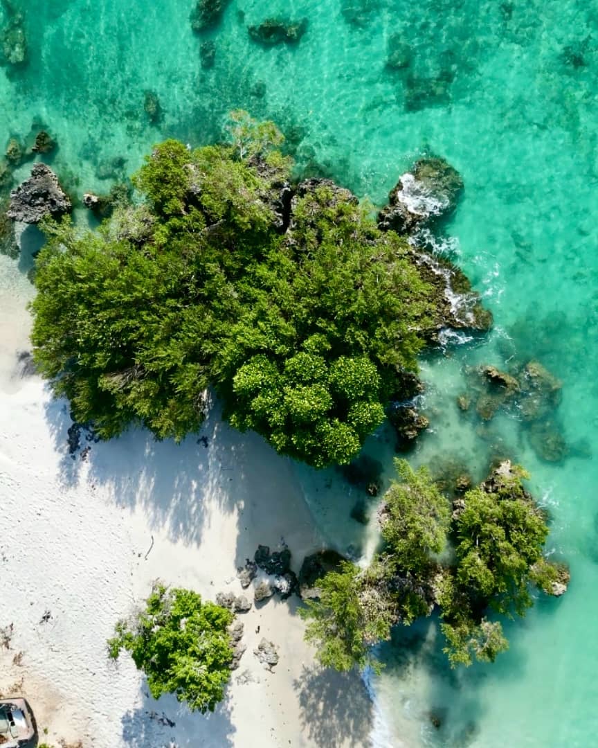 Zanzibar Beaches and wildlife