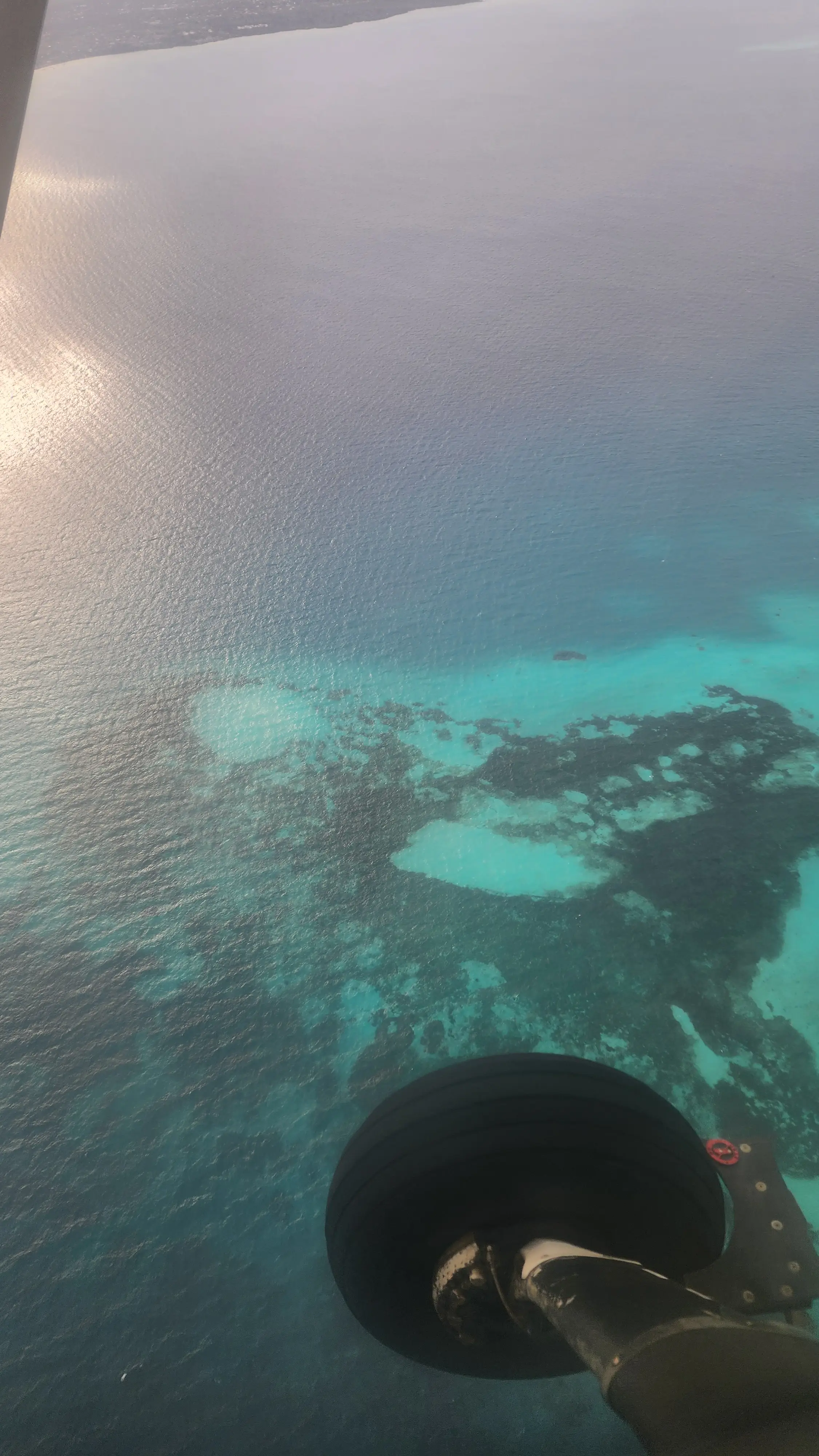 Zanzibar Beaches and wildlife